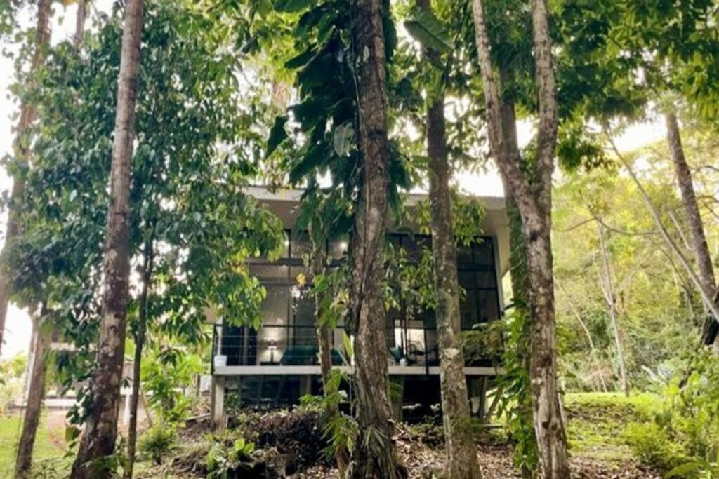 An Abundance Of Wildlife At Jungle Glory Home Abajo マヌエル・アントニオ エクステリア 写真