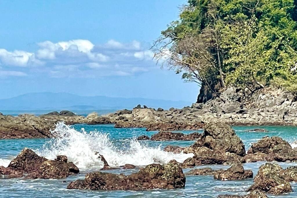 An Abundance Of Wildlife At Jungle Glory Home Abajo マヌエル・アントニオ エクステリア 写真