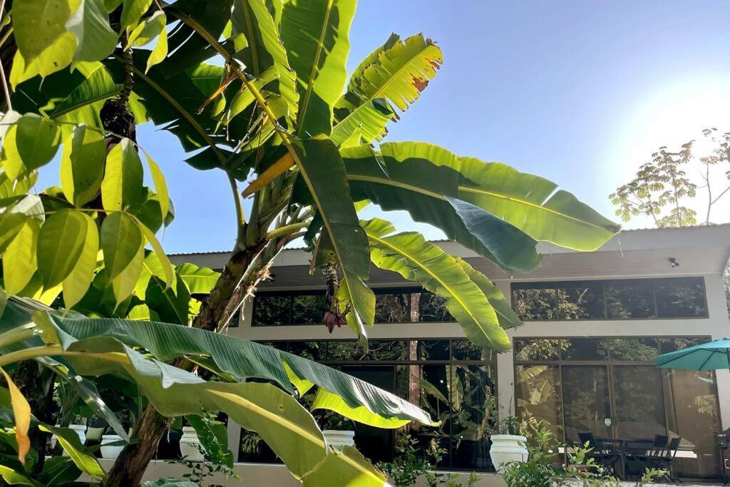 An Abundance Of Wildlife At Jungle Glory Home Abajo マヌエル・アントニオ エクステリア 写真