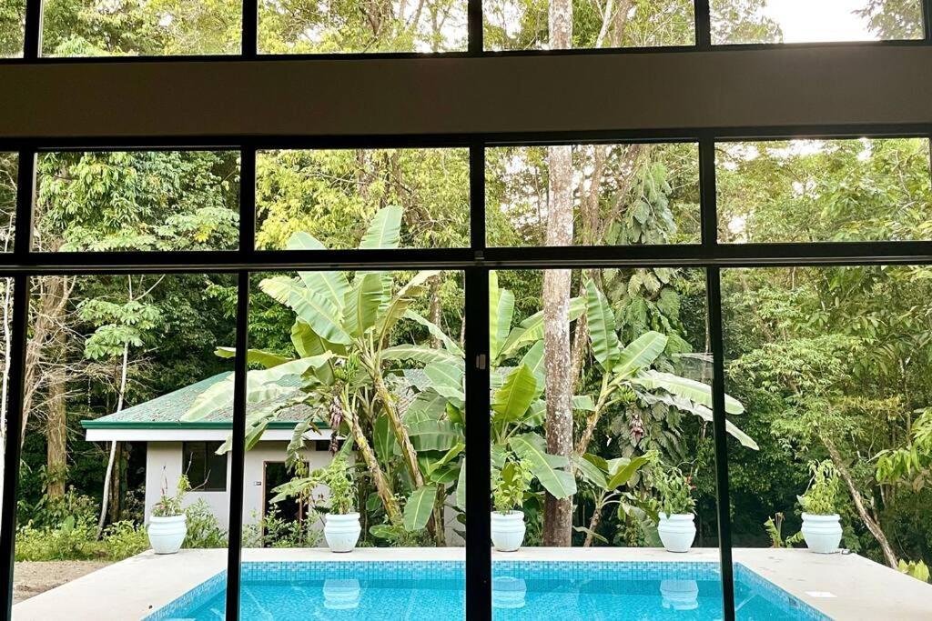 An Abundance Of Wildlife At Jungle Glory Home Abajo マヌエル・アントニオ エクステリア 写真