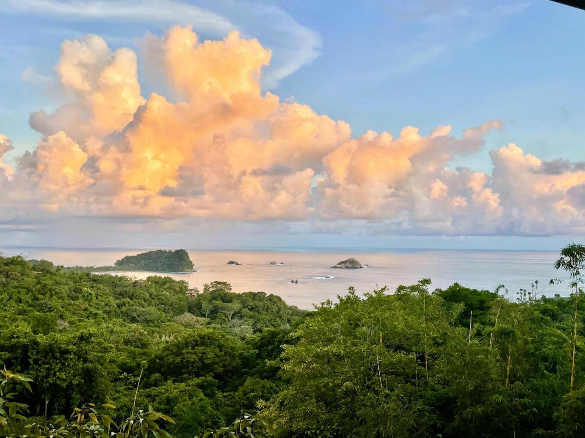An Abundance Of Wildlife At Jungle Glory Home Abajo マヌエル・アントニオ エクステリア 写真